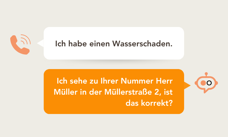Seit wann besteht der Schaden und wo genau ist er